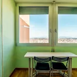 Roby's Panoramic House Livorno